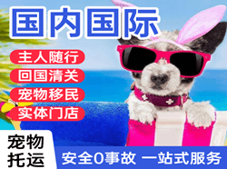 张孝机场物流国际宠物托运 【国